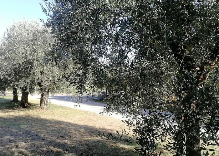 Apartman Casa A'mare *